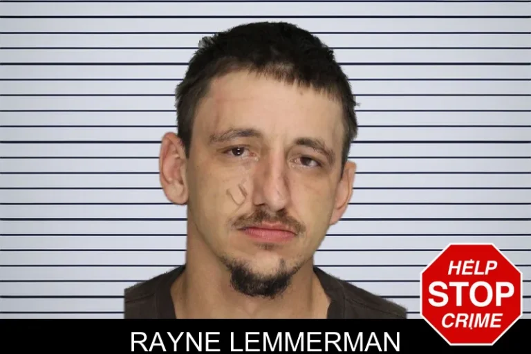Rayne Lemmerman mugshot – Cobb County , Georgia Rayne Lemmerman