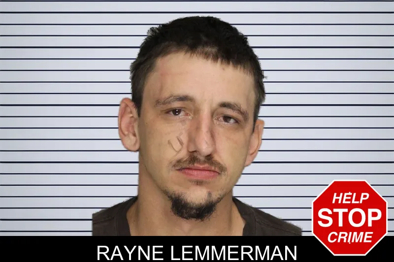Rayne Lemmerman mugshot – Cobb County , Georgia Rayne Lemmerman mugshot