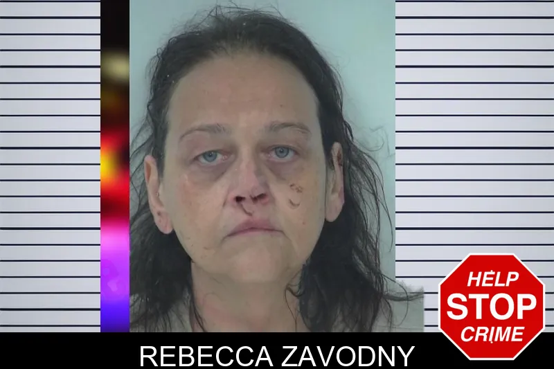 Rebecca Zavodny Mugshots