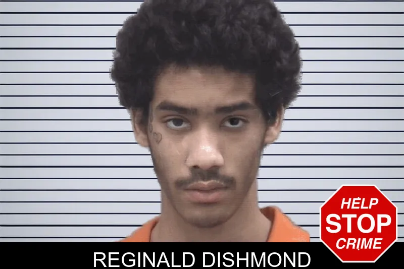Reginald Dishmond Mugshots