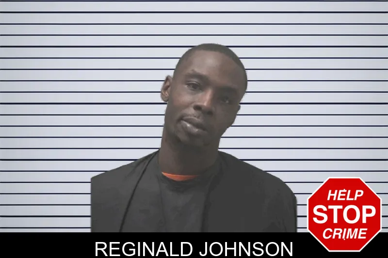 Reginald Johnson Mugshots