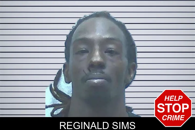 Reginald Sims Mugshots