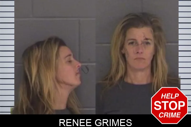 Renee Grimes Mugshots
