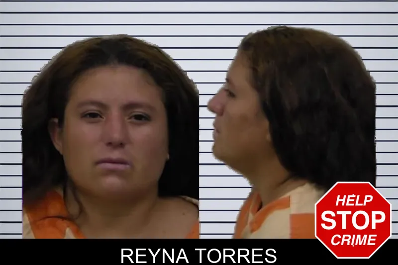 Reyna Torres Mugshots