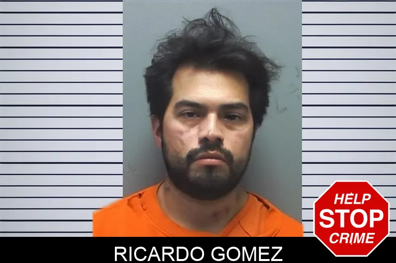 Ricardo Gomez Mugshots