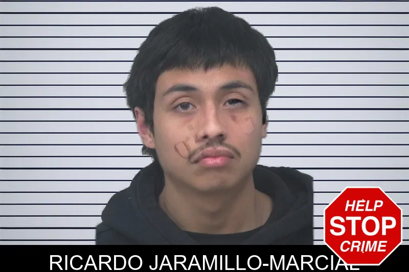 Ricardo Jaramillo-Marcial mugshot