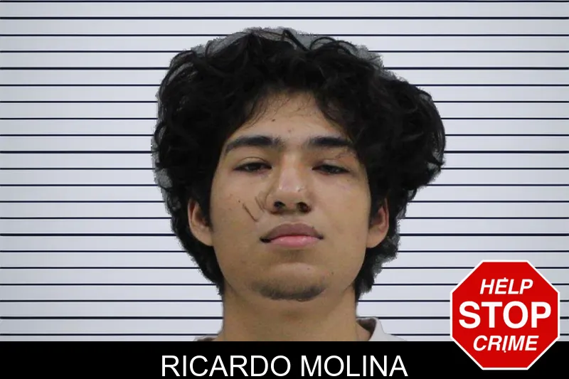 Ricardo Molina Mugshots