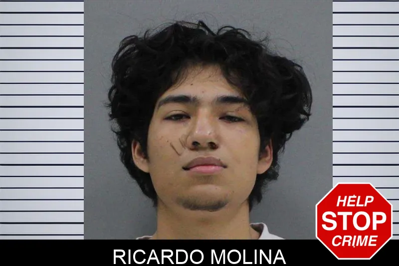 Ricardo Molina Mugshots