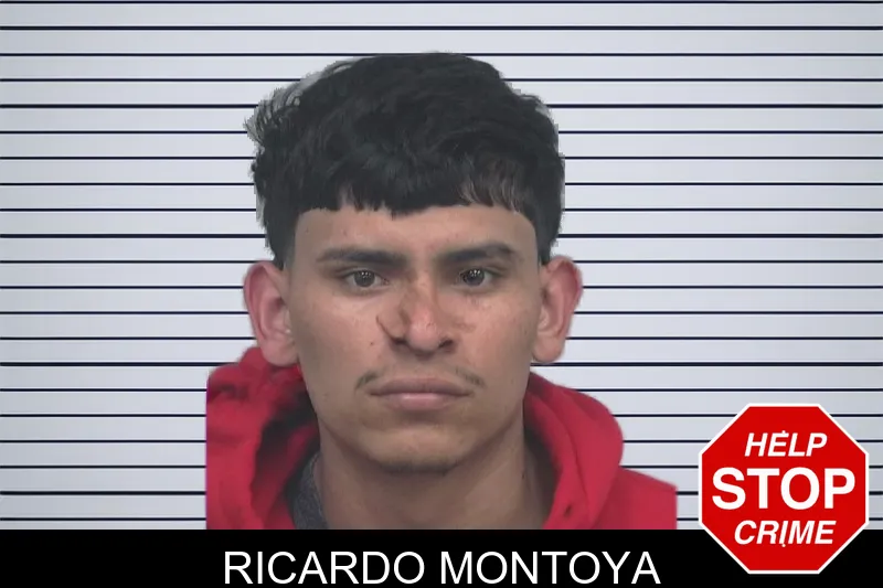 Ricardo Montoya mugshot