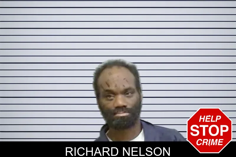 Richard Nelson mugshot – Fulton County , Georgia Richard Nelson mugshot