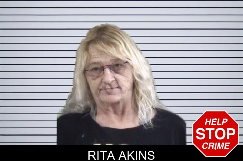 Rita Akins Mugshots
