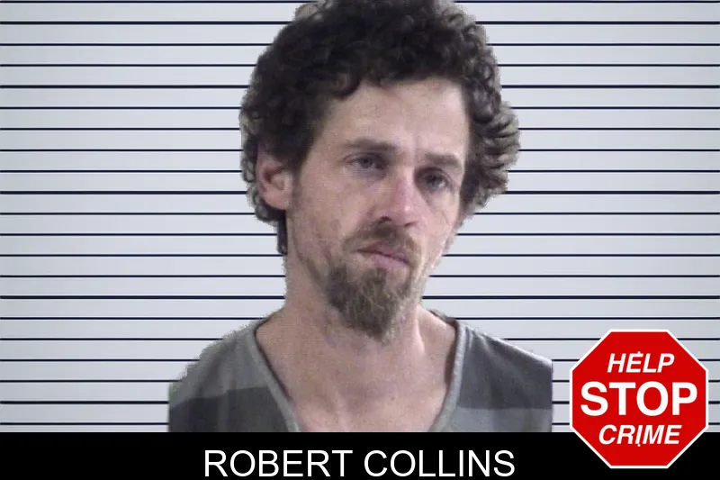 Robert Collins Mugshots