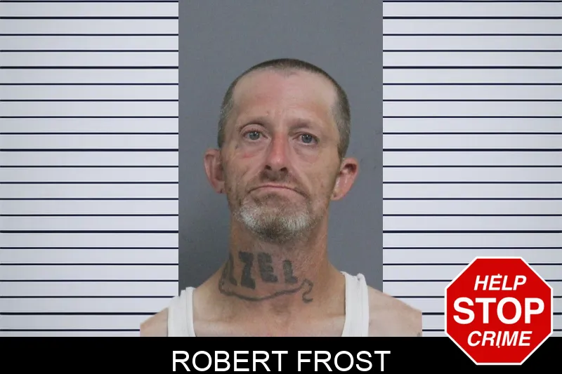 Robert Frost mugshot