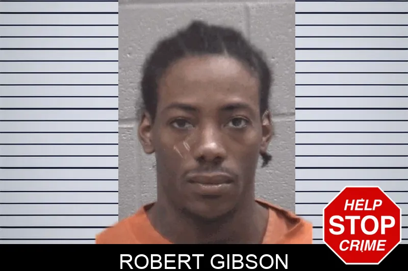 Robert Gibson Mugshots