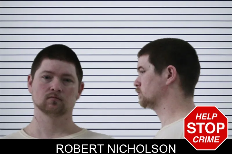 Robert Nicholson mugshot