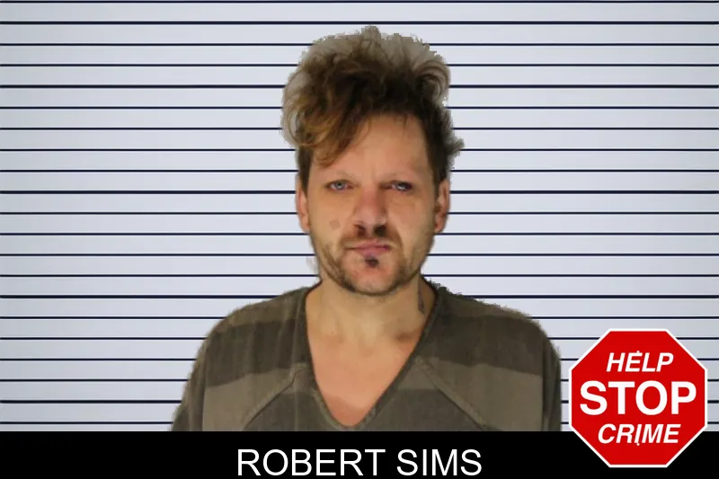 Robert Sims Mugshots