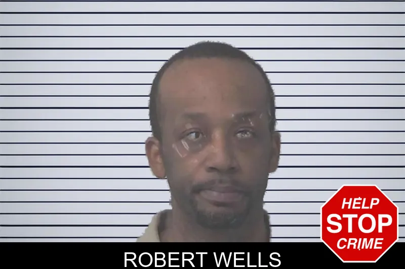Robert Wells mugshot