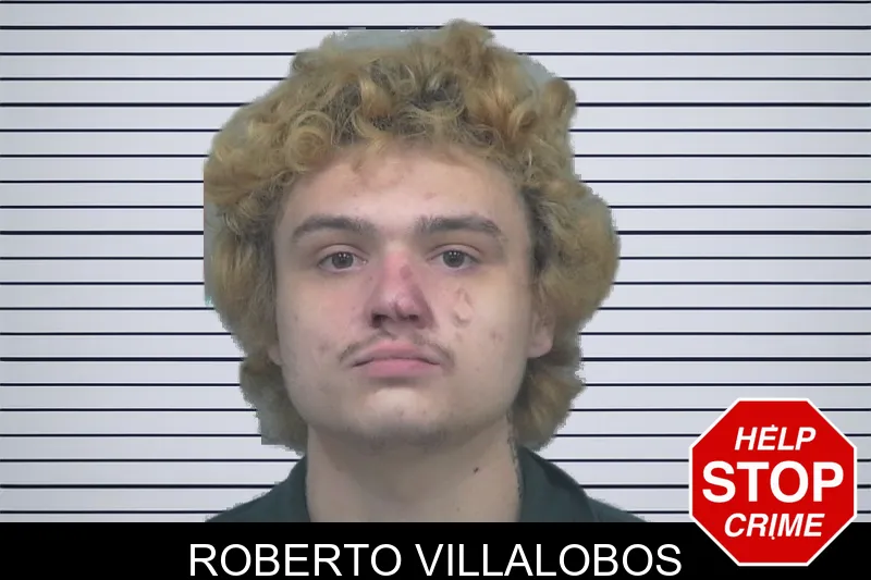 Roberto Villalobos Mugshots