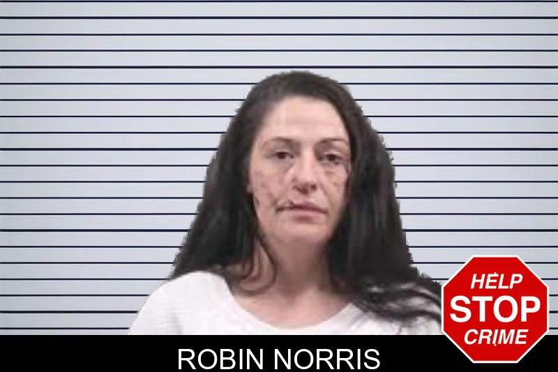 Robin Norris Mugshots