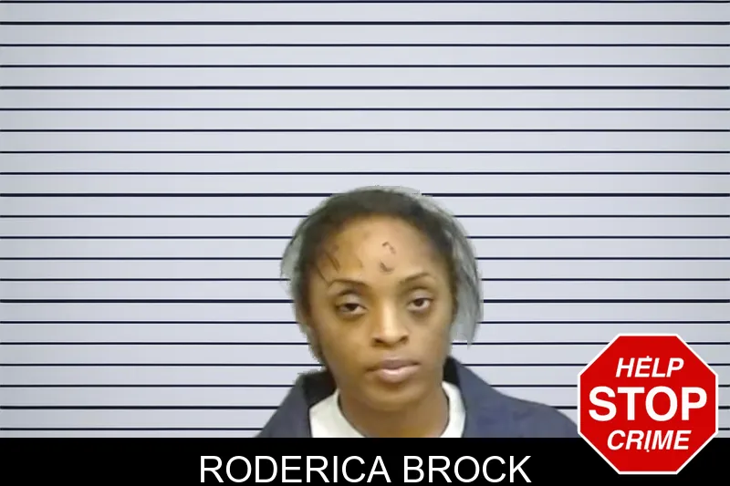 Roderica Brock mugshot – Fulton County , Georgia Roderica Brock mugshot