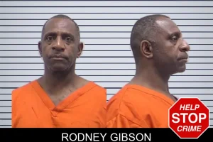 Rodney Gibson mugshot