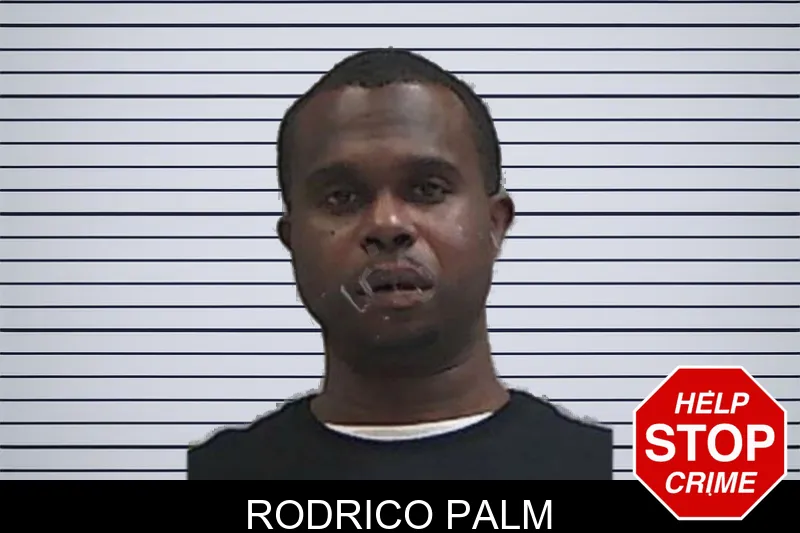 Rodrico Palm Mugshots