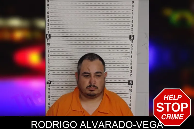 Rodrigo Alvarado-Vega Mugshots