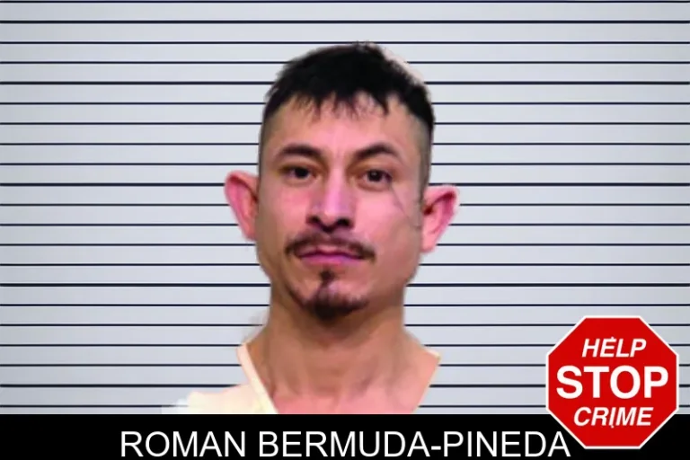 Roman Bermuda-Pineda