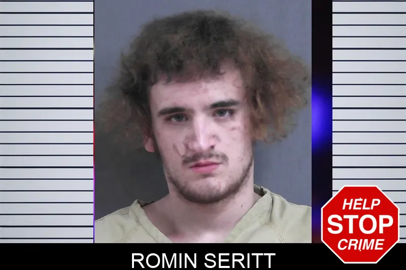 Romin Seritt mugshot