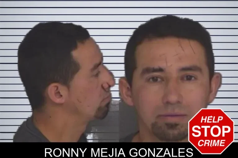 Ronny Mejia Gonzales
