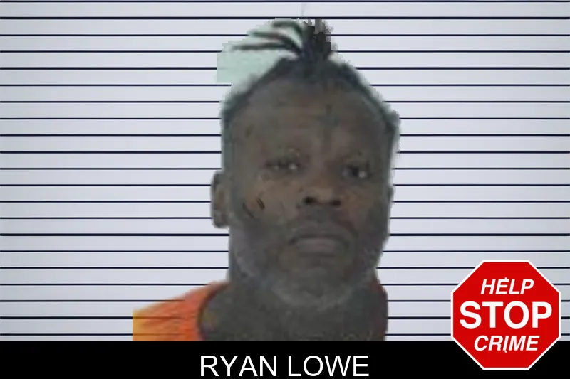 Ryan Lowe mugshot – Fayette County , Georgia Ryan Lowe mugshot