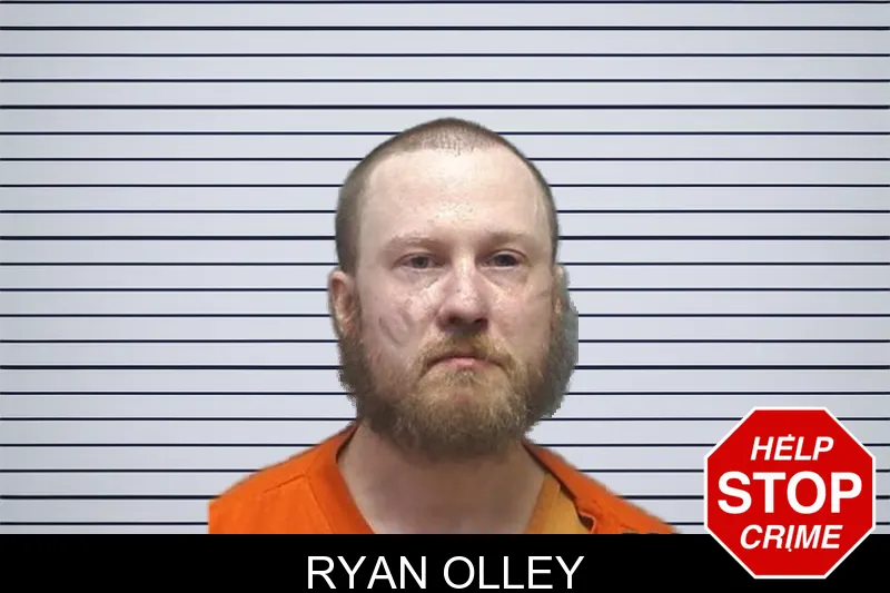 Ryan Olley Mugshots