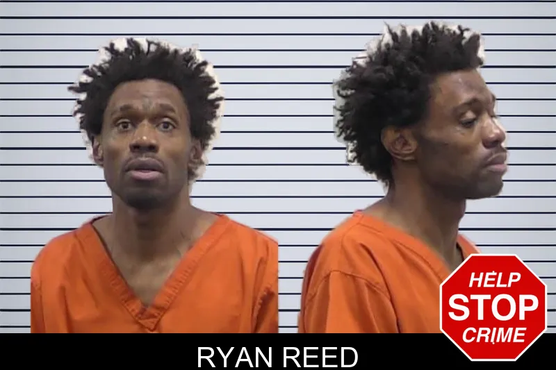 Ryan Reed mugshot