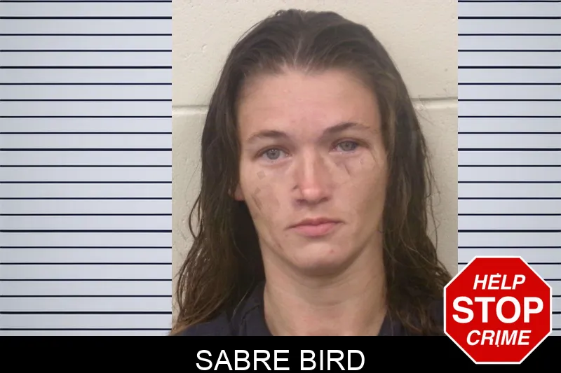 Sabre Bird Mugshots