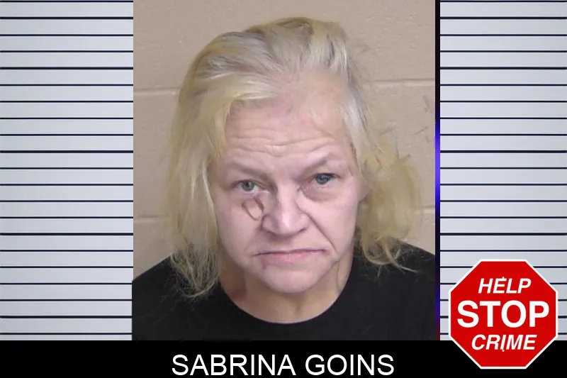 Sabrina Goins Mugshots