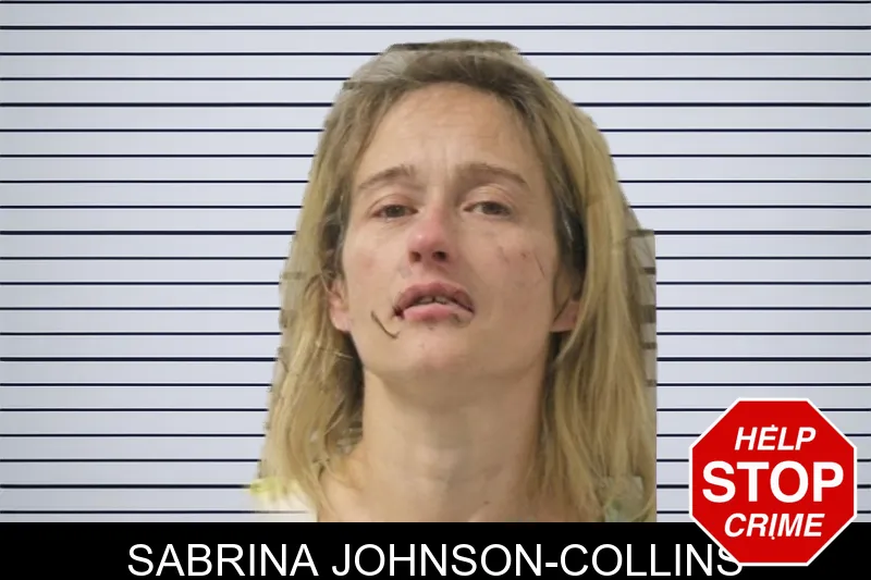 Sabrina Johnson-Collins Mugshots