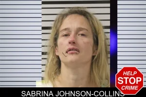 Sabrina Johnson-Collins mugshot