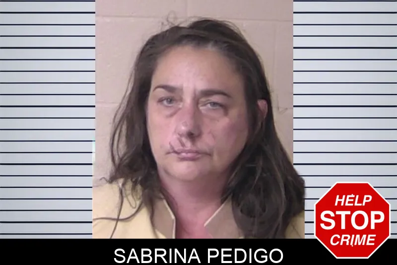 Sabrina Pedigo Mugshots