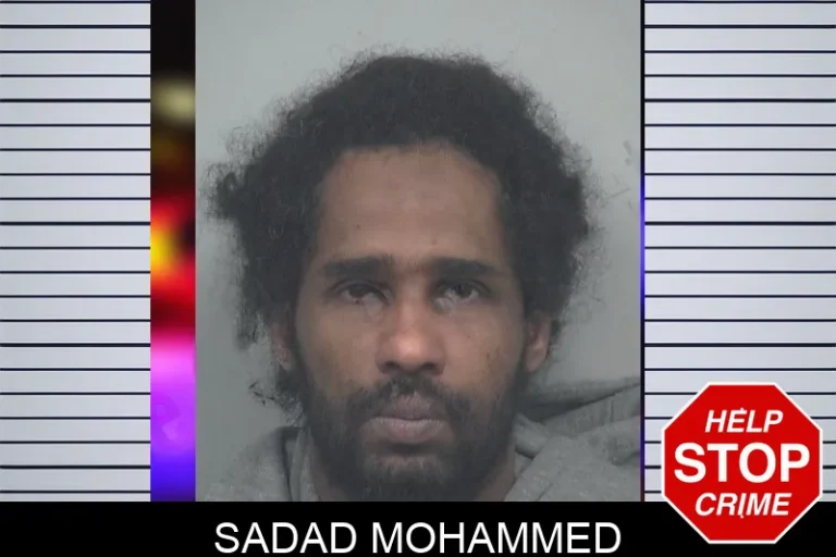 Sadad Mohammed