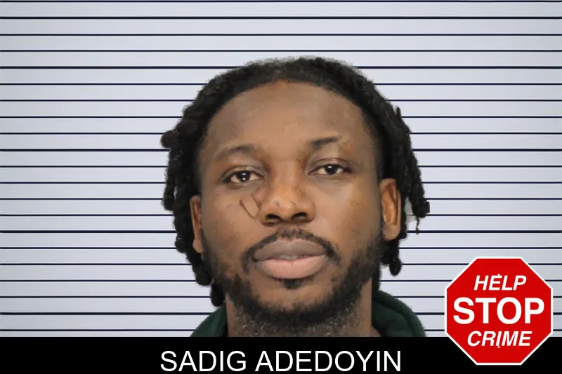 Sadig Adedoyin Mugshots