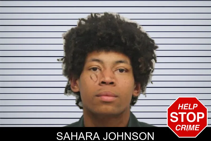 Sahara Johnson mugshot