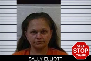 Sally Elliott mugshot