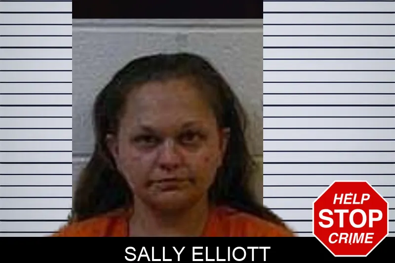 Sally Elliott Mugshots