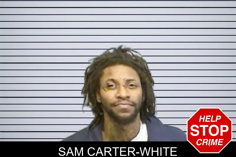 Sam Carter-White mugshot – Fulton County , Georgia Sam Carter-White mugshot
