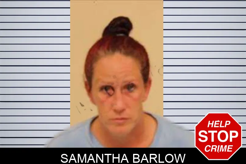 Samantha Barlow Mugshots