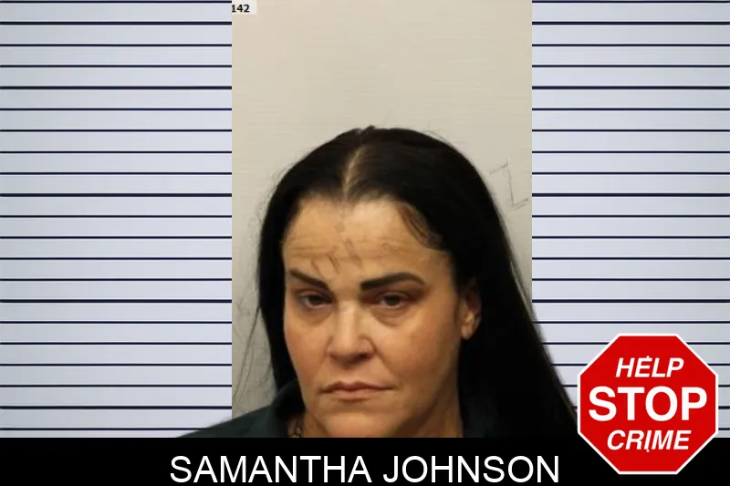 Samantha Johnson mugshot – Chatham County , Georgia Samantha Johnson mugshot