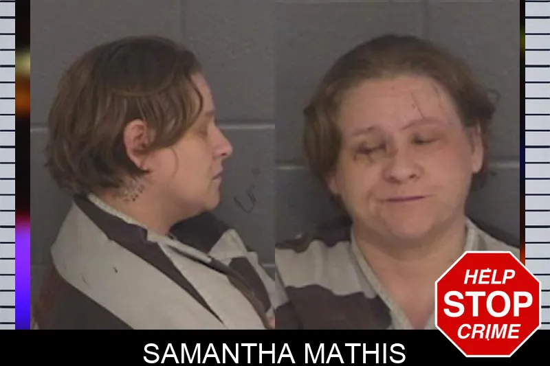 Samantha Mathis Mugshots