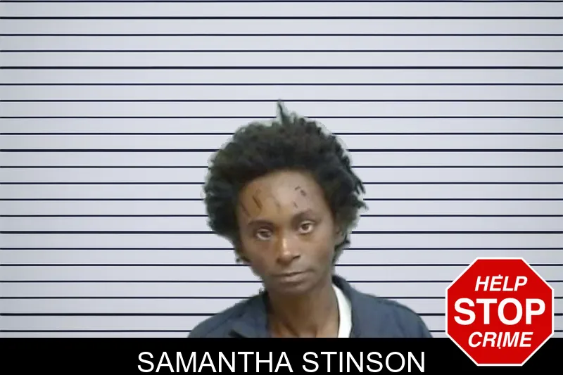 Samantha Stinson mugshot – Fulton County , Georgia Samantha Stinson mugshot