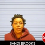 Sandi Brooks Mugshots