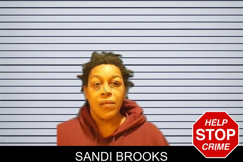 Sandi Brooks Mugshots